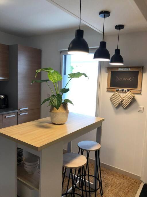 Apartment Cosy 4/6 Personnes Idealement Place